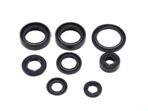 Cup 100 Yağ_Keçesi