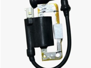 TVS Raıder 125 Ateşleme Bobin