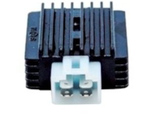 CUP 100 Regülator 4 Fişli