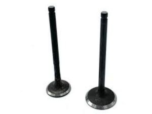 Honda Spacy 100 cc Sübap Takımı